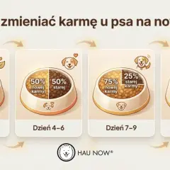 Grafika pokazuje, jak stopniowo wprowadzać nową karmę u psa: 25% nowej karmy przez 3 dni, potem 50/50, następnie 75% nowej karmy, aż do 100% nowej karmy od 10. dnia.
