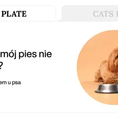 Uroczy piesek obok miski z karmą, tekst "Dlaczego mój pies nie chce jeść?" i "Problemy z apetytem u psa".