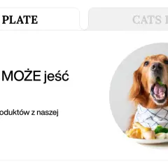 Złoty retriever z otwartym pyskiem, w którym widać zielony groszek, siedzi przy stole. Obok talerz z jedzeniem i szklanka mleka. Temat: czego nie może jeść pies.