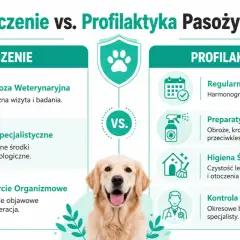 Grafika porównuje leczenie i profilaktykę przeciw pasożytom u psa. Pokazuje metody zwalczania robaków u psa i zapobiegania im.