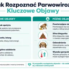 Objawy parwowirozy u psa: brak apetytu, apatia, wymioty, biegunka, odwodnienie, gorączka. Szybka reakcja jest kluczowa.