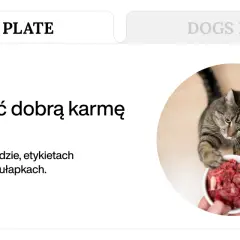 Kot z apetytem sięga po miseczkę z mięsem, pokazując, co jedzą koty.