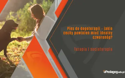 Idealny pies do dogoterapii podaje łapę. Poznaj cechy czworonoga, który wspiera terapię i socjoterapię.