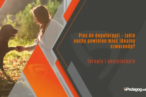 Idealny pies do dogoterapii podaje łapę. Poznaj cechy czworonoga, który wspiera terapię i socjoterapię.