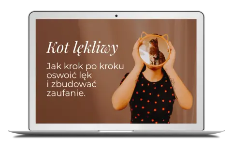 Na ekranie laptopa tekst "Kot lękliwy. Jak krok po kroku oswoić lęk i zbudować zaufanie." nad zdjęciem kota w okrągłym lustrze.