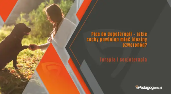 Idealny pies do dogoterapii podaje łapę. Poznaj cechy czworonoga, który wspiera terapię i socjoterapię.