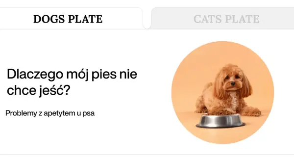 Uroczy piesek obok miski z karmą, tekst "Dlaczego mój pies nie chce jeść?" i "Problemy z apetytem u psa".