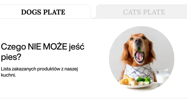Złoty retriever z otwartym pyskiem, w którym widać zielony groszek, siedzi przy stole. Obok talerz z jedzeniem i szklanka mleka. Temat: czego nie może jeść pies.