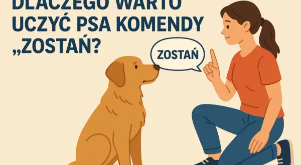 Dziewczyna uczy psa komendy "zostań". To ważny element, jak szkolić psa, by był posłuszny i bezpieczny.