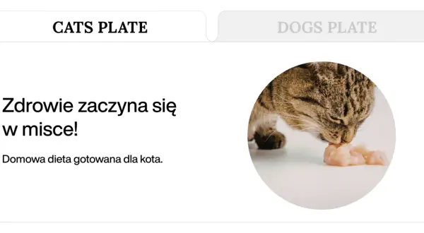 Kot zajada się gotowanym kurczakiem. Dowiedz się, co gotować kotu, by był zdrowy.