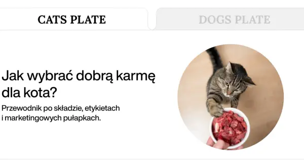 Kot z apetytem sięga po miseczkę z mięsem, pokazując, co jedzą koty.