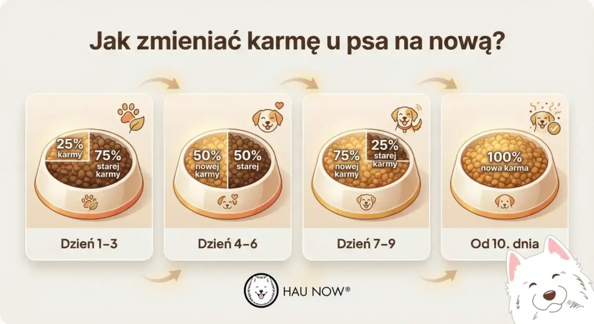 Grafika pokazuje, jak stopniowo wprowadzać nową karmę u psa: 25% nowej karmy przez 3 dni, potem 50/50, następnie 75% nowej karmy, aż do 100% nowej karmy od 10. dnia.