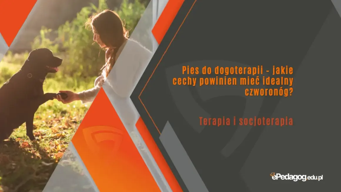 Idealny pies do dogoterapii podaje łapę. Poznaj cechy czworonoga, który wspiera terapię i socjoterapię.