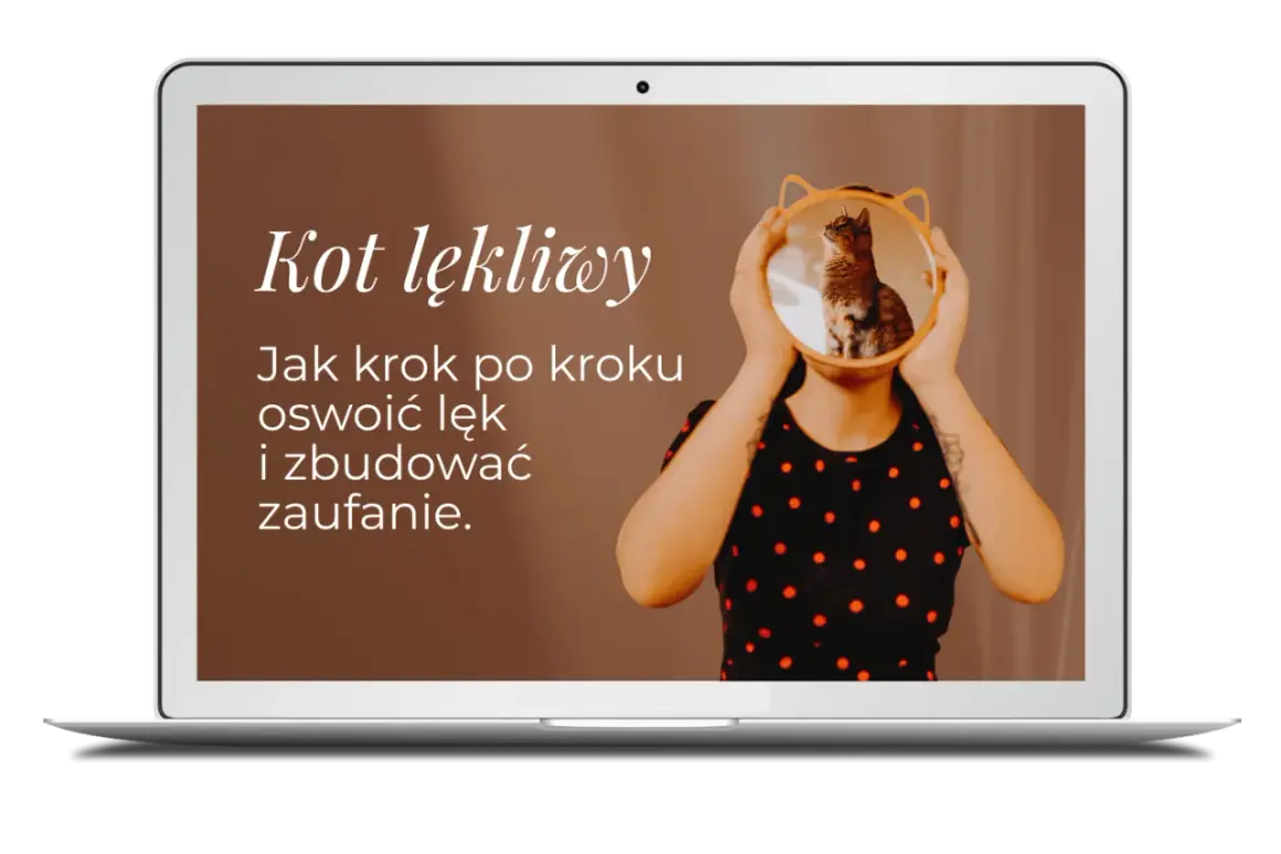 Na ekranie laptopa tekst "Kot lękliwy. Jak krok po kroku oswoić lęk i zbudować zaufanie." nad zdjęciem kota w okrągłym lustrze.
