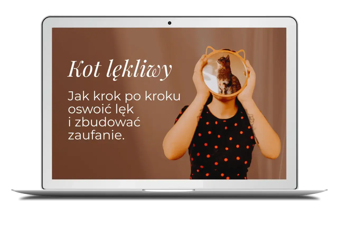 Na ekranie laptopa tekst 