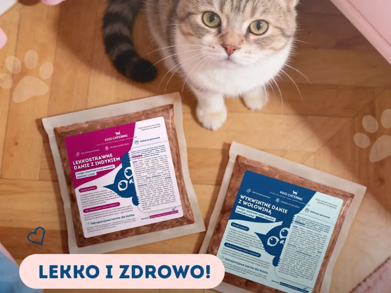 Kot patrzy na opakowania karmy. Na opakowaniach znajdziesz informacje, ile powinien jeść kot, np. lekkostrawne danie z indykiem.