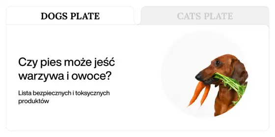 Jakie warzywa może jeść pies? Bezpieczne wybory i porcje