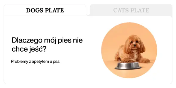 Uroczy piesek obok miski z karmą, tekst "Dlaczego mój pies nie chce jeść?" i "Problemy z apetytem u psa".