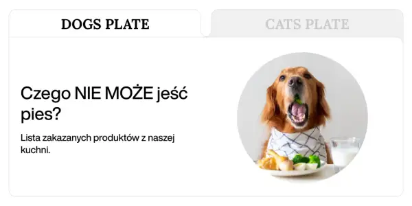 Złoty retriever z otwartym pyskiem, w którym widać zielony groszek, siedzi przy stole. Obok talerz z jedzeniem i szklanka mleka. Temat: czego nie może jeść pies.