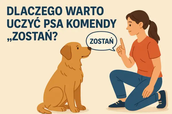 Dziewczyna uczy psa komendy "zostań". To ważny element, jak szkolić psa, by był posłuszny i bezpieczny.