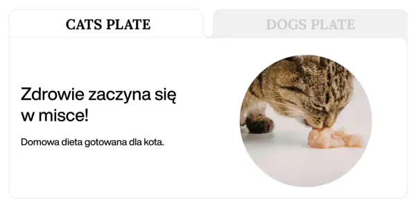 Kot zajada się gotowanym kurczakiem. Dowiedz się, co gotować kotu, by był zdrowy.
