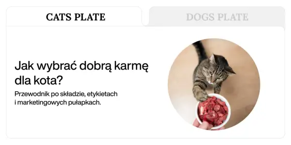 Kot z apetytem sięga po miseczkę z mięsem, pokazując, co jedzą koty.